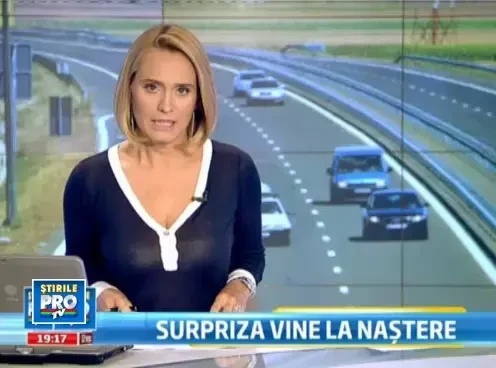 Cainii provoaca accidente pe autostrazi, iar autoritatile n-au nicio solutie