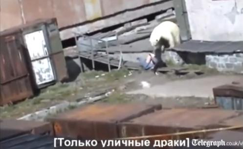 VIDEO. O femeie e mutilata de urs intr-un ORAS din Rusia. O sticla de vodca i-a salvat viata