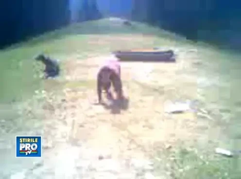 Noul Cod al Muncii, la stana. Un cioban isi verifica angajatul dupa