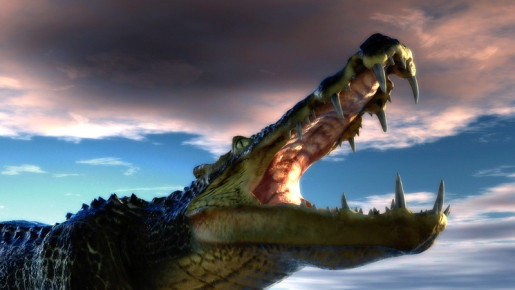 Misterul unei grote complexe, construita de un animal ciudat, acum 240 de milioane de ani