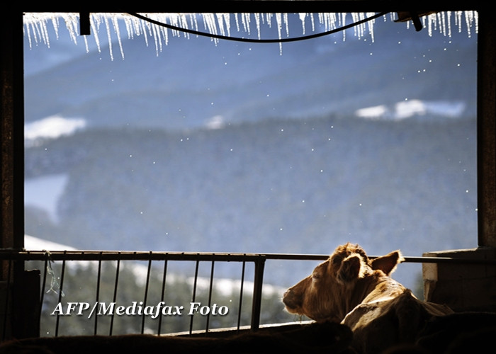 Romanii care au o drujba, un scuter sau trei vaci nu primesc ajutoare la incalzire