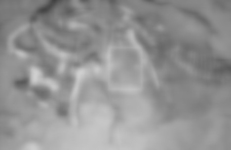 Cercetarile recente atesta existenta dinozaurilor. Ce au descoperit oamenii de stiinta in America de Sud