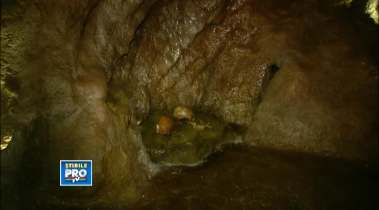 Cum arata cea mai spectaculoasa camera din Muzeul Antipa. Ce nu ai vazut pana acum. VIDEO