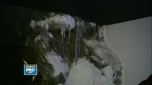 Cum arata cea mai spectaculoasa camera din Muzeul Antipa. Ce nu ai vazut pana acum. VIDEO