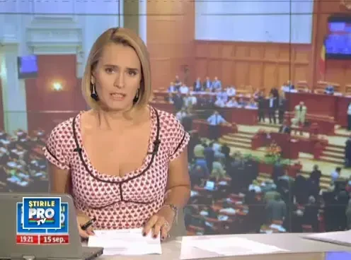 Cum rezolvam problema maidanezilor? Ii bagam in adaposturi sau ii eutanasiem?