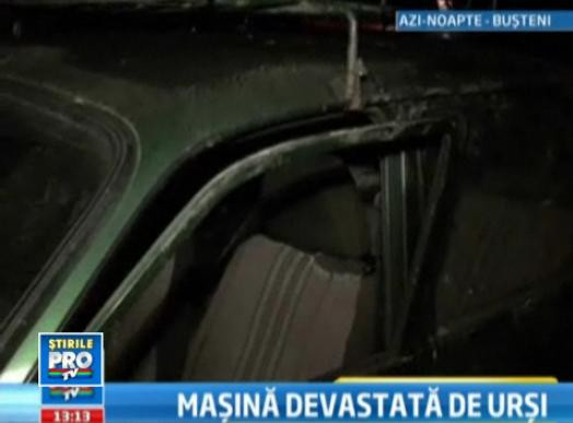 Si-a gasit masina distrusa de ursi. Uitase in portbagaj niste zmeura