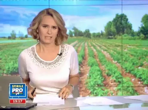 Avem productie buna de legume, dar ne batem joc: "Decat sa vindem in pierdere, mai bine putrezesc"