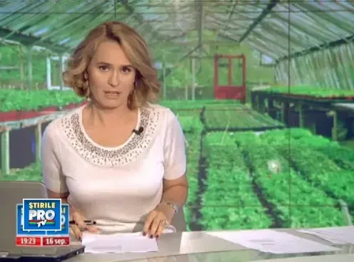 Idee ingenioasa adusa de chinezi in Romania. Cum poti produce legume si iarna, fara curent sau gaz