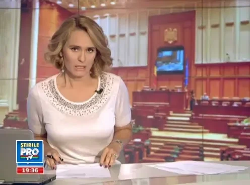 Ce facem cu maidanezii? Administratiile locale pot opta intre adapostire si eutanasiere