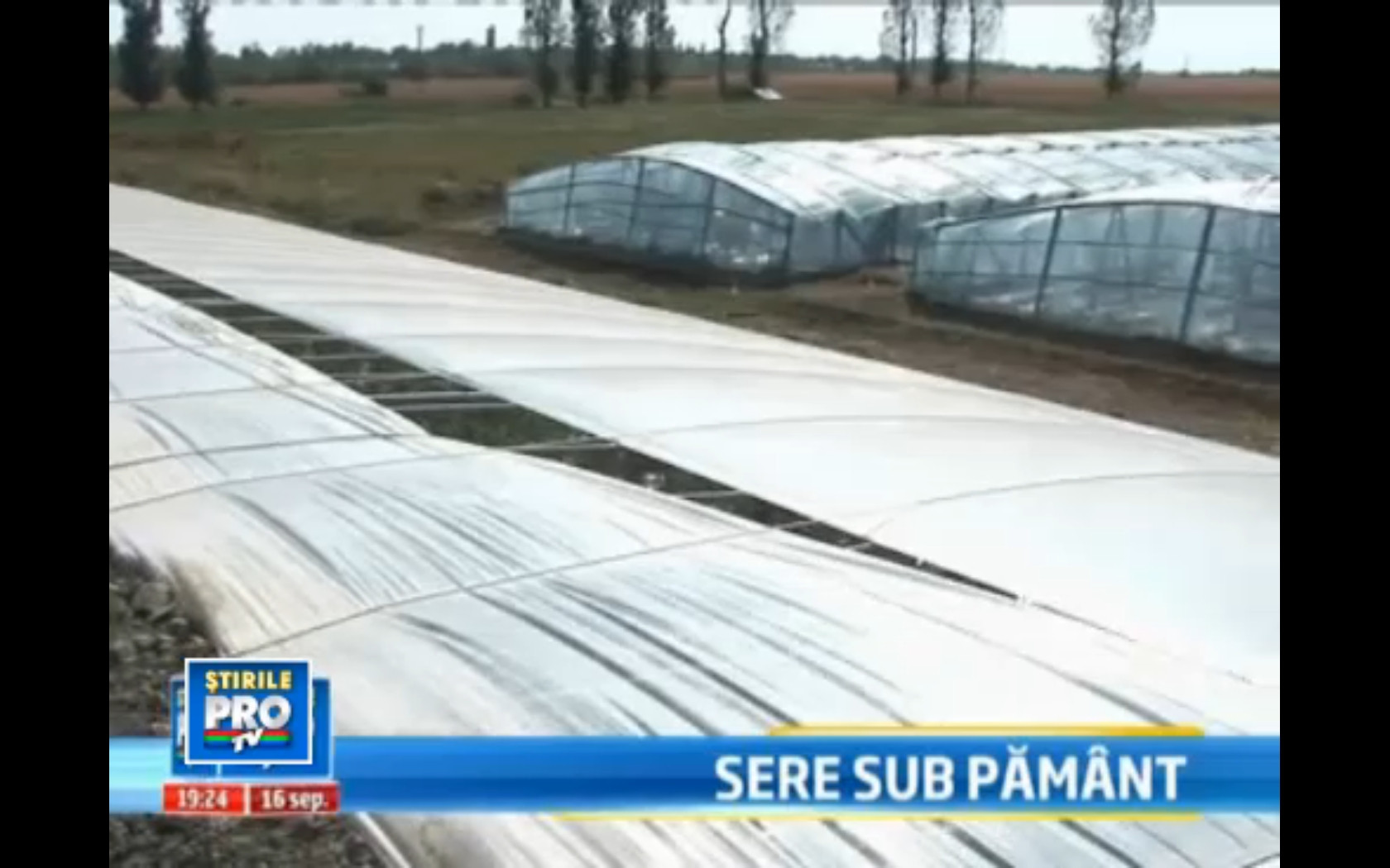 Idee ingenioasa adusa de chinezi in Romania. Cum poti produce legume si iarna, fara curent sau gaz