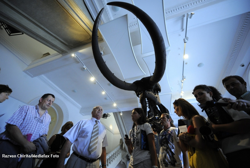 Sute de persoane stau la coada pentru a vizita Muzeul Antipa. Probleme cu "tehnologia moderna"