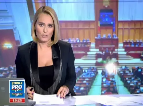 1909_19_parlamentarirude