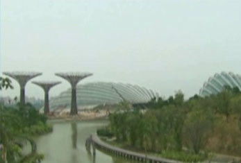 VIDEO. Vezi cum arata "gradina viitorului" din Singapore. A costat 800 de milioane de dolari