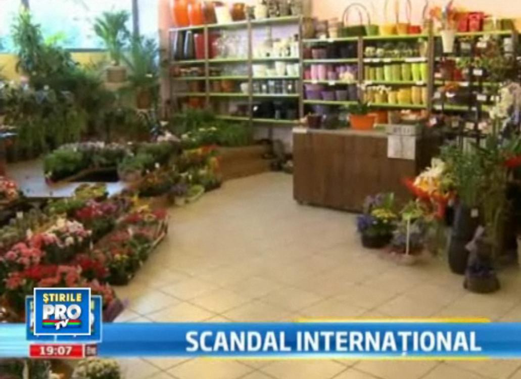 Romania si Olanda, dezbinate de "bacteria Schengen". Urmeaza doua zile critice pentru florarii