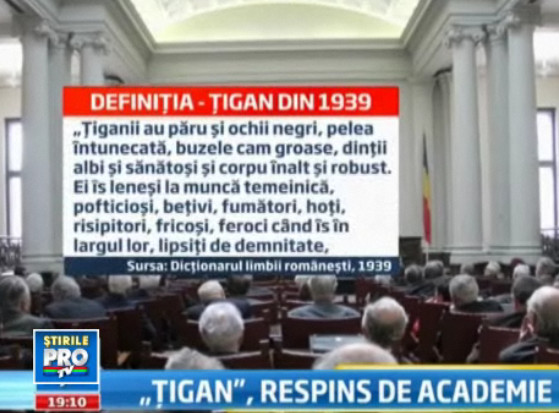 Academia Romana modifica DEX-ul. "Folosirea cuvantului tigan nu este recomandata"
