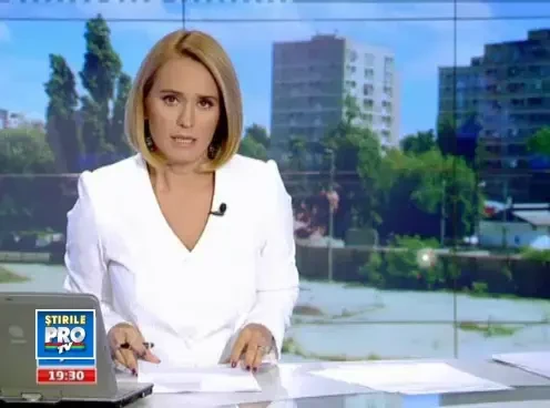 Soarta maidanezilor, tot mai sumbra. Leptospiroza, noul motiv pentru care ar putea fi eutanasiati