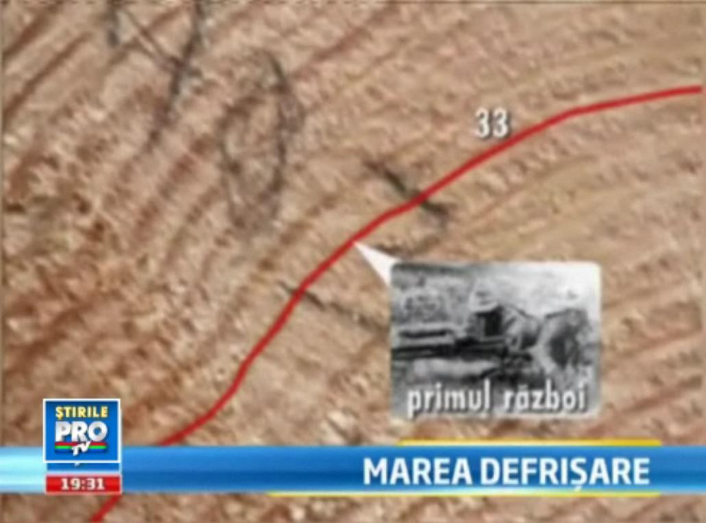 Vindem copacii direct din padure pe bani putini. Cum se imbogatesc chinezii cu lemnul nostru