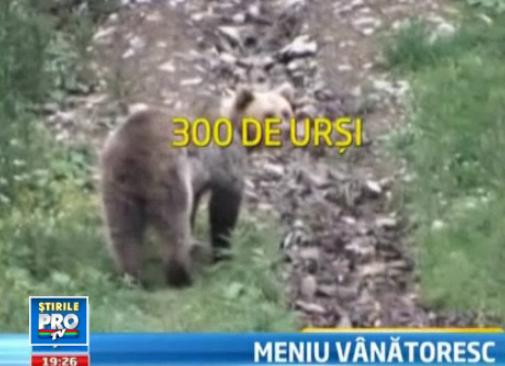 V-ati saturat de gustul fad al carnii de ferma? Abatoarele, dar si procesatorii au carne de vanat