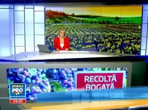 Vrei un vin personalizat? Producatorii te lasa de acum sa-ti faci propria licoare la ei