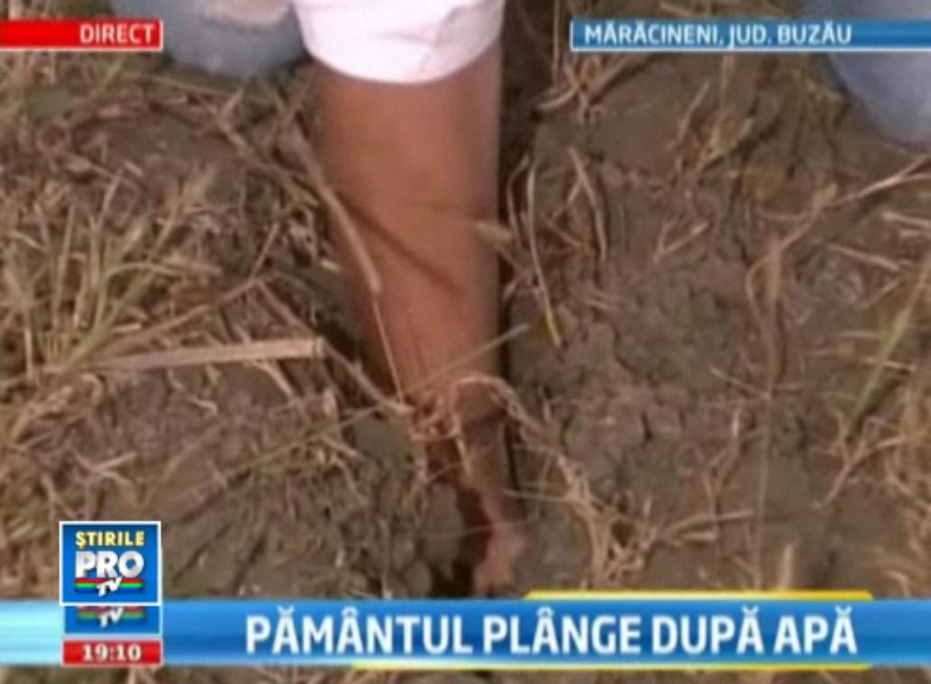 Din granarul Europei, Romania a devenit desert. Drama taranilor care nu mai au ce culege de pe camp