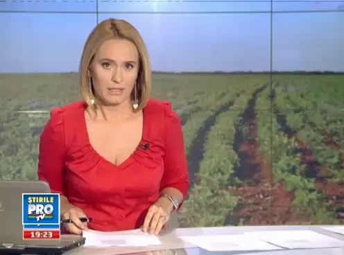 Recolta uriasa de cartofi a facut praf preturile. Putrezesc cu tonele pe camp