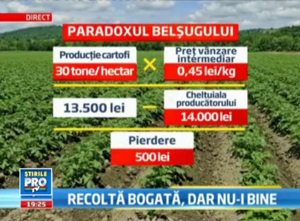 Paradoxul belsugului. Formula dupa care in Romania se pierd bani atunci cand recolta e bogata