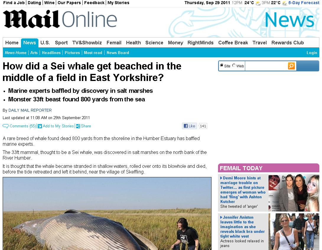 Cum a ajuns acest monstru maritim de 10 metri in mijlocul unui camp din Marea Britanie? FOTO