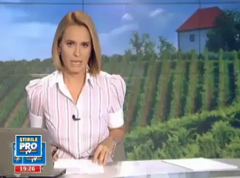 Autoritatile spaniole, luate la intrebari de Ministerul Muncii cu privire la soarta romanilor