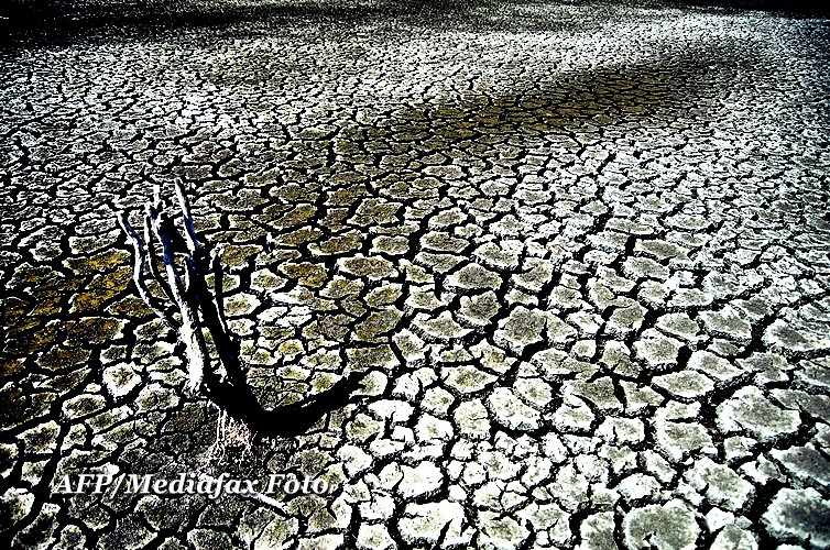Experimentul Medgidia: ce sa pui in pamant ca sa nu se mai usuce culturile pe timp de seceta. VIDEO