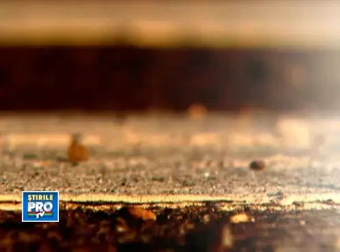 Experiment RTI: Cat iti ia sa traversezi Romania de la un capat la altul