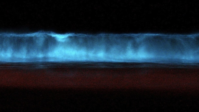 VIDEO. Oceanul fosforescent. Imagini spectaculoase pe o plaja din California, exact ca in Avatar