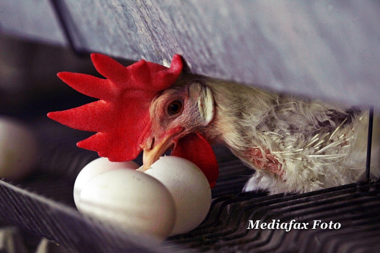 Decizia care iti va revolutiona mic-dejunul se aplica de la 1 ianuarie 2012