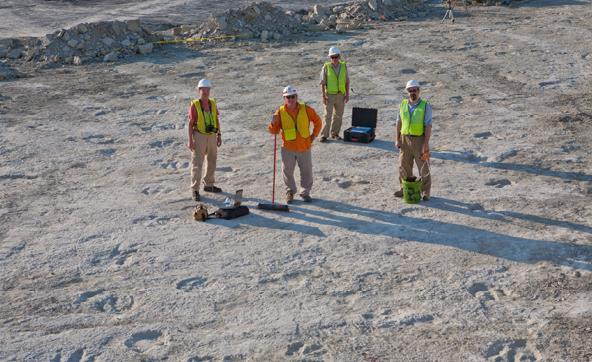Urme de dinozaur gasite in gradina. Ce spun cercetatorii despre misterioasa descoperire