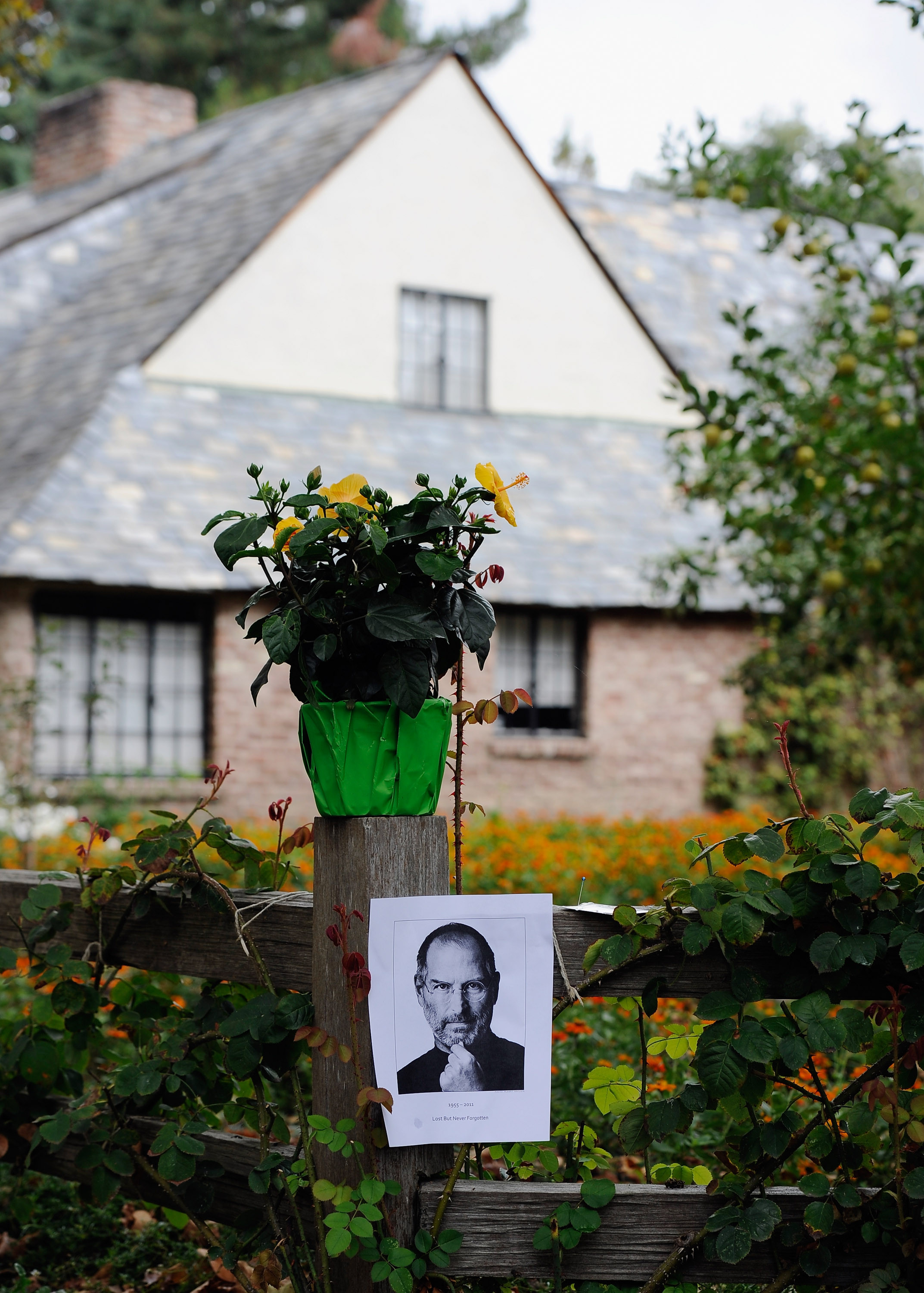 Cum si-a petrecut Steve Jobs ultimele zile din viata. Nu mai avea energie nici sa-si ia ramas bun