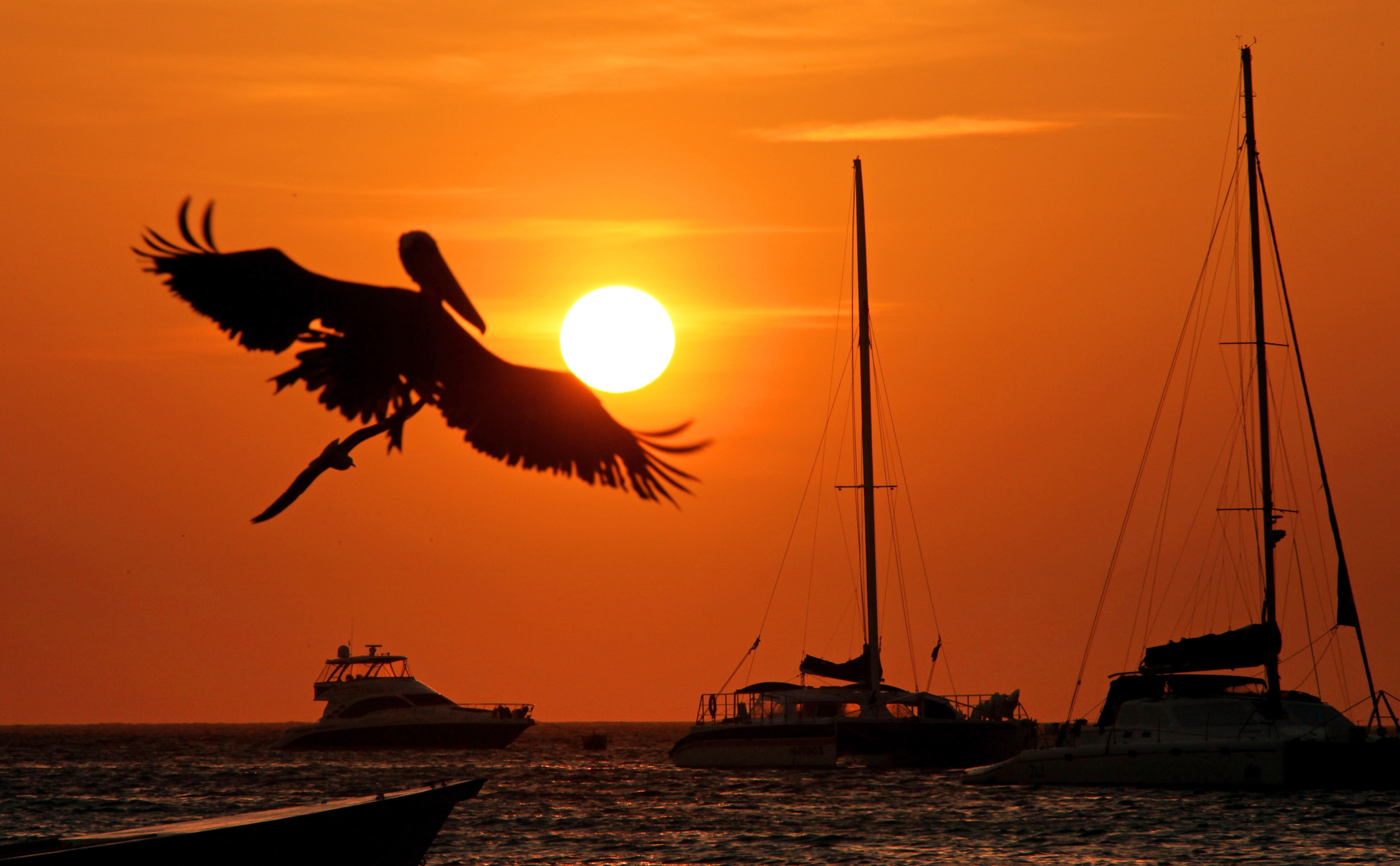 Las Roques