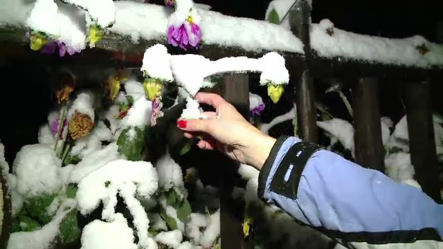 Intr-o zi si o noapte, Romania a trecut brutal de la vara, la iarna. Cand se incalzeste vremea