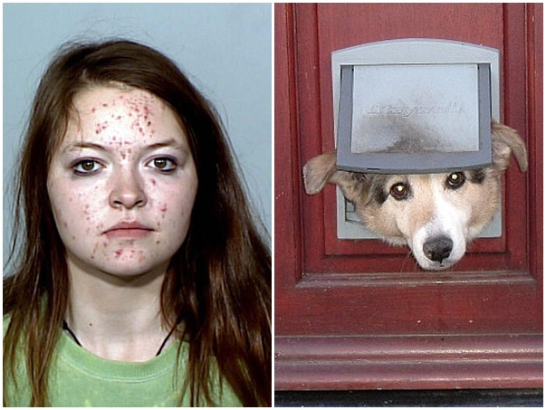 Culmea hotiei. A jefuit o casa prin usa cainelui ca sa isi poate "hrani" dependenta de filme XXX