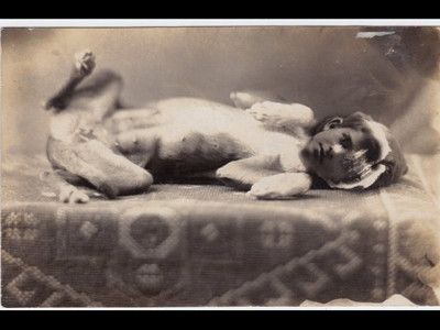 TOP FOTOGRAFII care iti vor da cosmaruri. Imagini pe care nu vrei sa le vezi nici cu coada ochiului