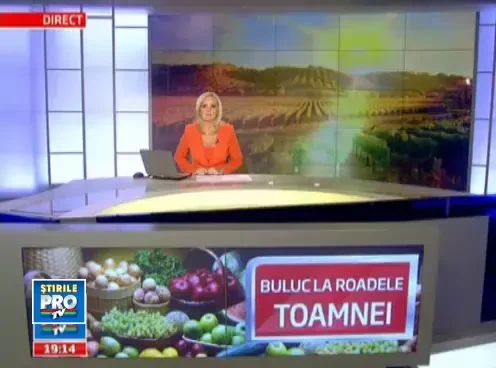 1510_19_ziuarecoltei