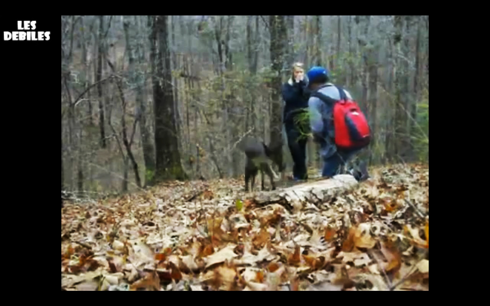 Intrebarea la care nu o sa aflam niciodata raspunsul. Cineva si-a bagat nasul unde nu trebuie. VIDEO