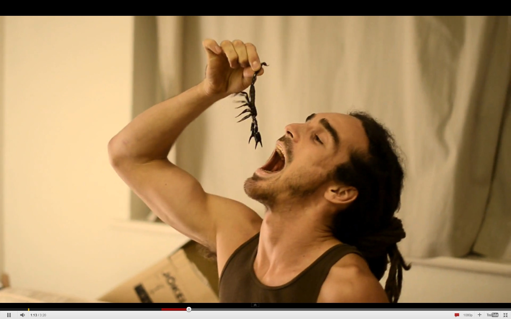 Barbatul care isi mananca zodia... de vie. Afla ce gust are chitina neagra. VIDEO