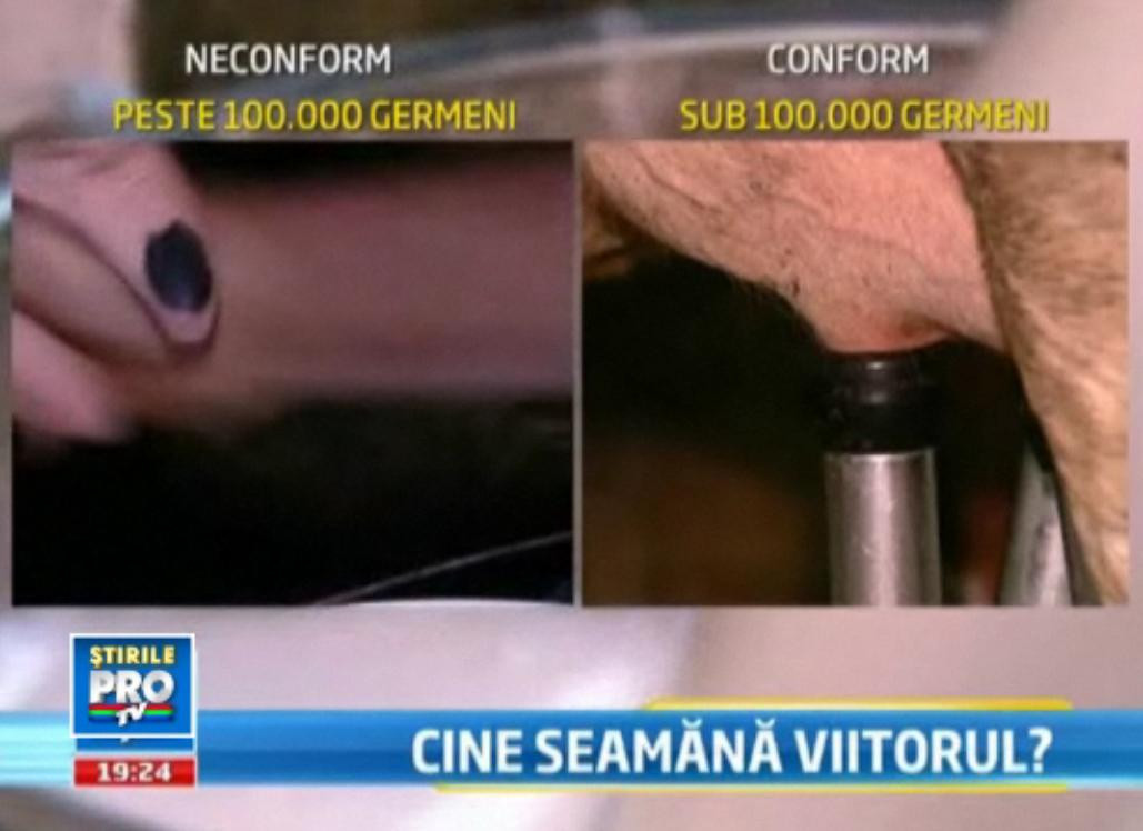 Cum a disparut laptele muls cu mana de pe piata. Decizia care i-a ingropat pe micii laptari romani