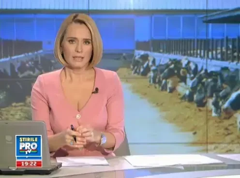 Cum a disparut laptele muls cu mana de pe piata. Decizia care i-a ingropat pe micii laptari romani