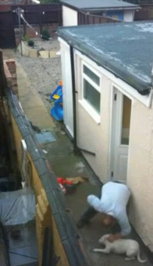 Acest film postat pe Facebook l-a bagat la inchisoare, pe loc!