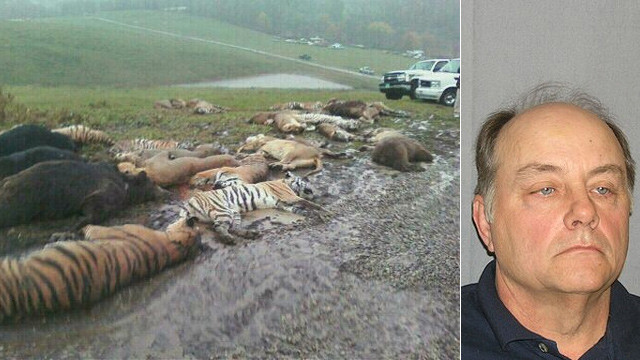 Masacru in Ohio. 48 de animale exotice, ciuruite de trupele SWAT si serifii locali