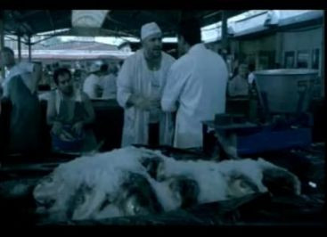 Cea mai buna reclama TV din ultimii 10 ani. Cine sunt marii castigatori din publicitate VIDEO