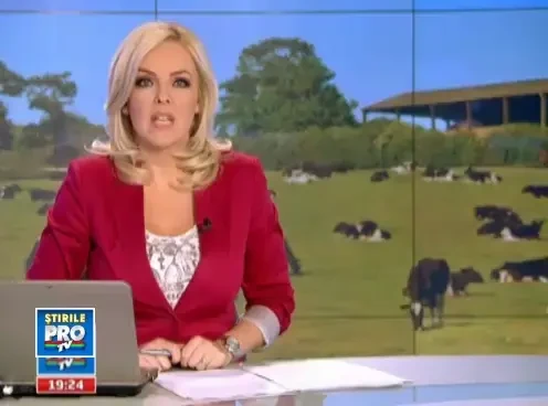 Anomaliile unui sistem ineficient. Laptele in Romania, de doua ori mai scump decat in Germania