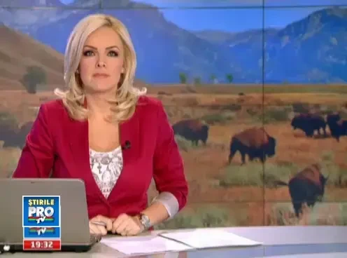 Mozzarella romaneasca sau cum sa faci afaceri banoase cu branza de bivolita