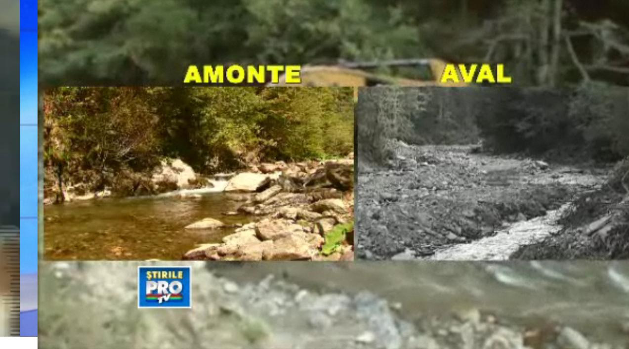 "Romania, te iubesc". Goana dupa profituri uriase transforma paradisul local in peisaje apocaliptice