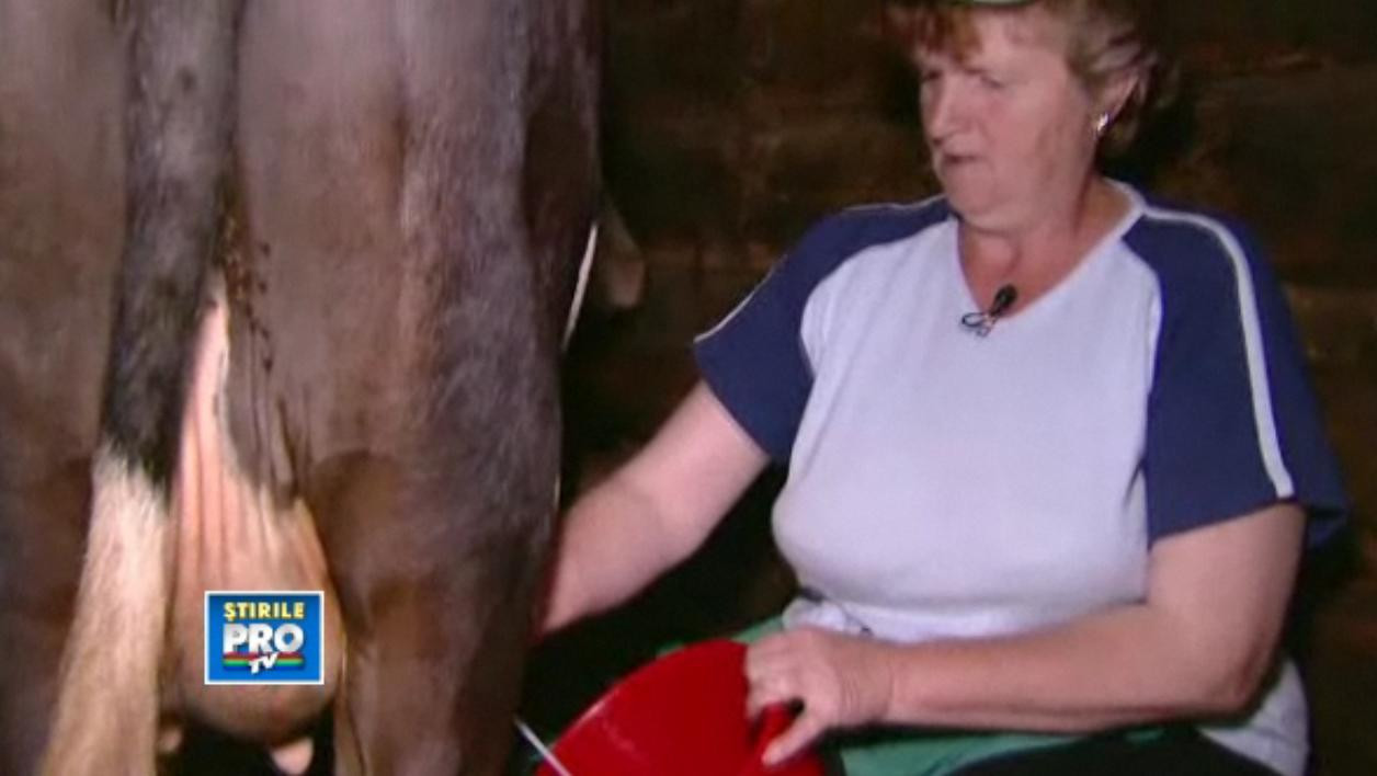 Romania, te iubesc: Cat de romanesc mai e laptele pe care il bei in fiecare zi?